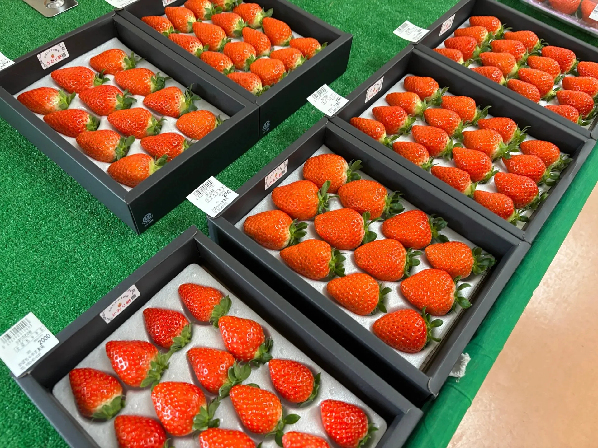 松川村かぼちゃやま農場ホームページリンクしました。