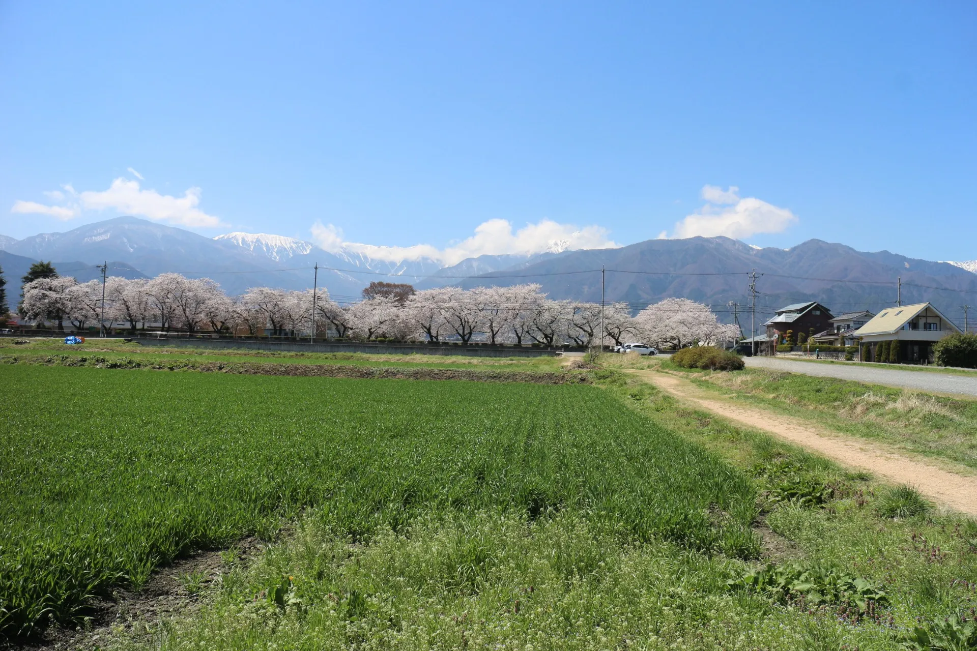 今日は自転車で安曇野をめぐりました。