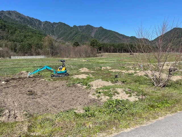 桃の畑開墾中です。再来週桃苗を植えます。